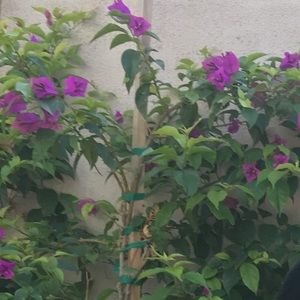 Meet your Posher, Dylan